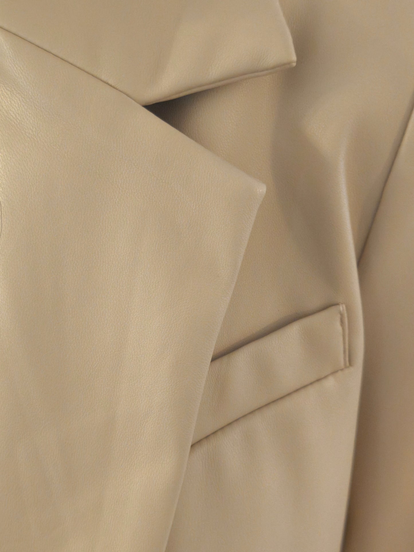 Blazer Abisko